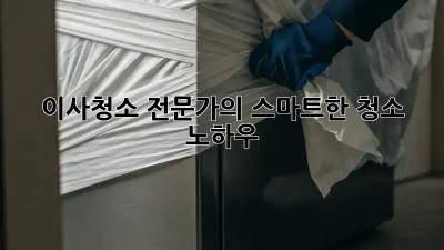 이사청소 전문가의 스마트한 청소 노하우