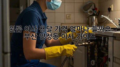 원룸 이사, 용달 가격 얼마나 들까요? 부산 양정동 이사 가이드